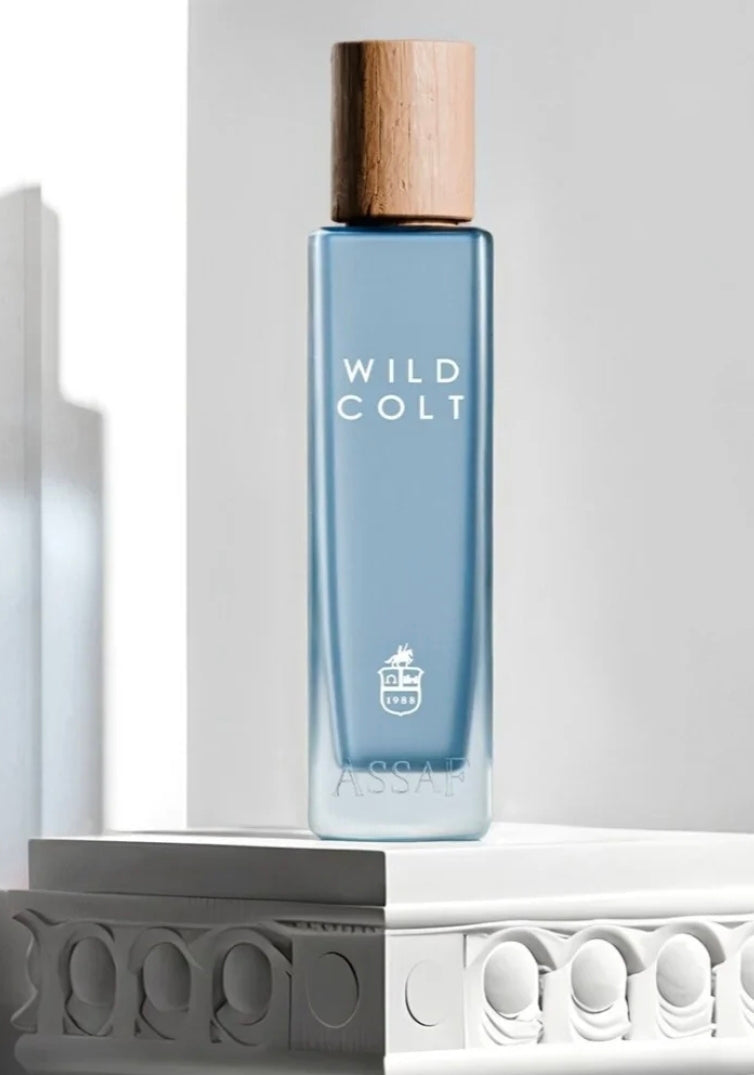 Assaf Wild Colt