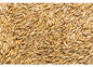 شعير حبة كاملة - Barley  Whole