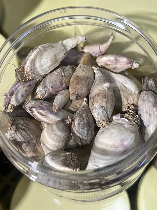 ثوم ذكر 35g