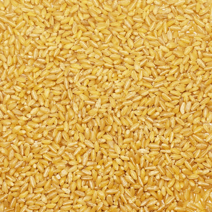 Durum Wheat “Qamadi” Skinless - قمح قاسي مقشور